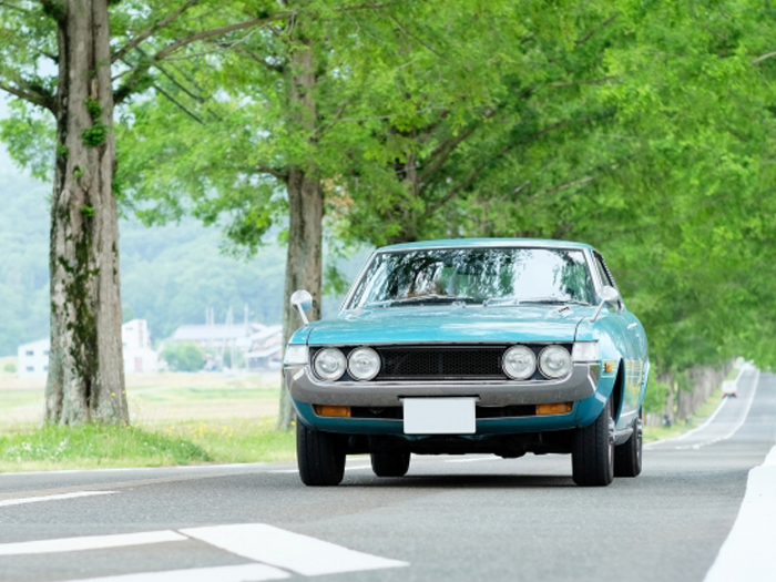 創業昭和39年の実績